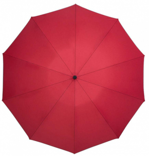 Купить  зонт Zuodu Automatic Umbrella LED Red-1.jpg